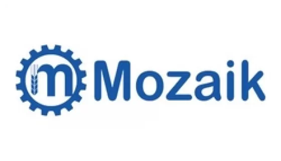 Mozaik